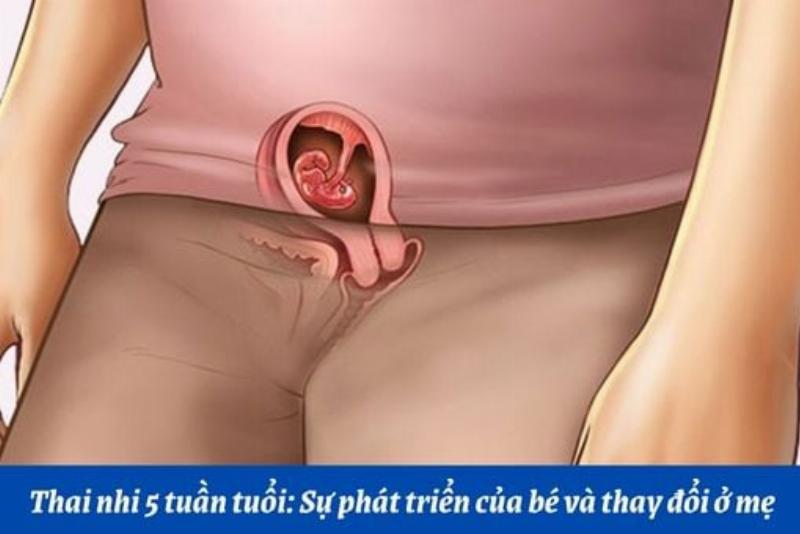Hình ảnh người mẹ mang thai 5 tuần đang chăm sóc sức khỏe